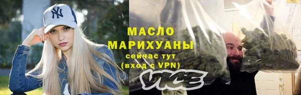 индика Беломорск
