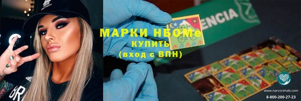 индика Беломорск