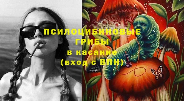 индика Белоозёрский