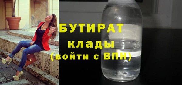 индика Беломорск