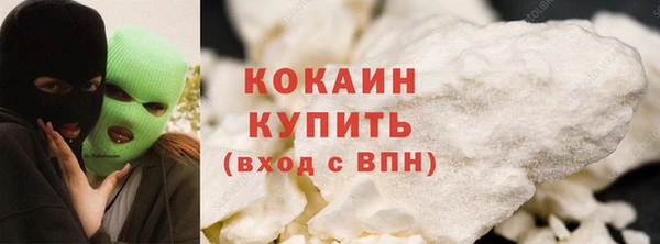 индика Белоозёрский