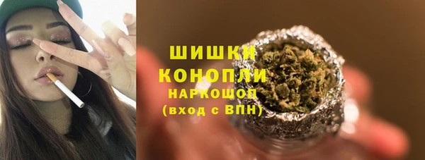 индика Беломорск