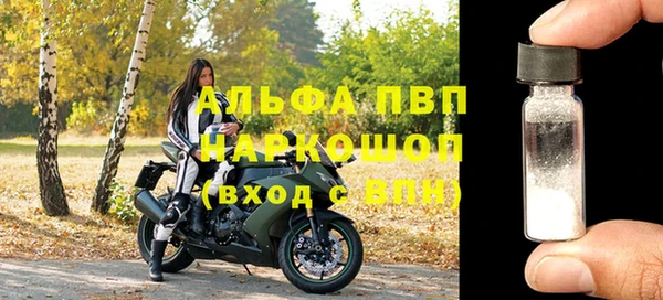 индика Беломорск