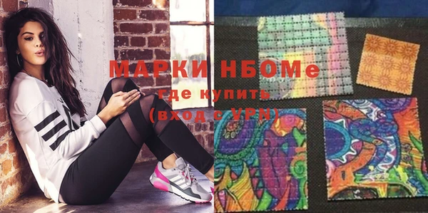 индика Беломорск