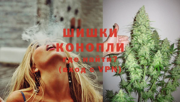 индика Беломорск