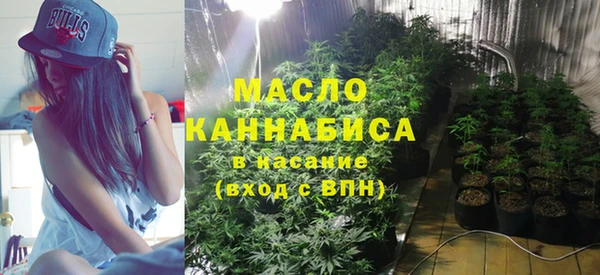 индика Беломорск