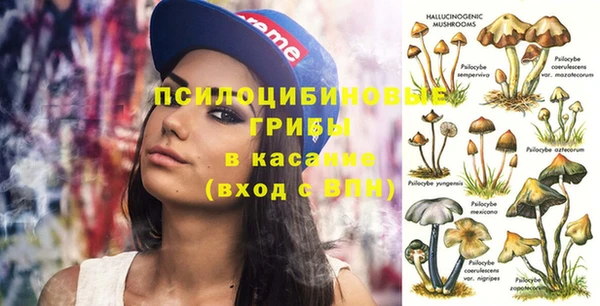 индика Белоозёрский