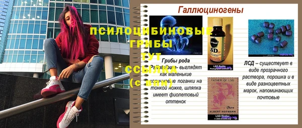 а пвп мука Белокуриха