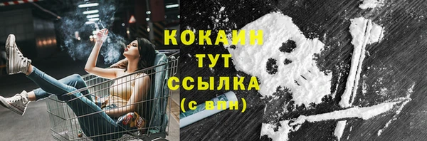 индика Белоозёрский
