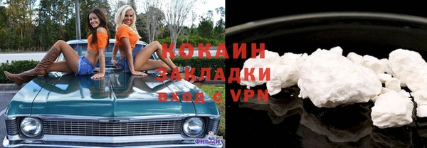 индика Белоозёрский