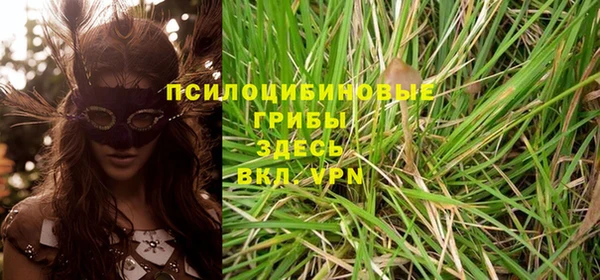 индика Белоозёрский